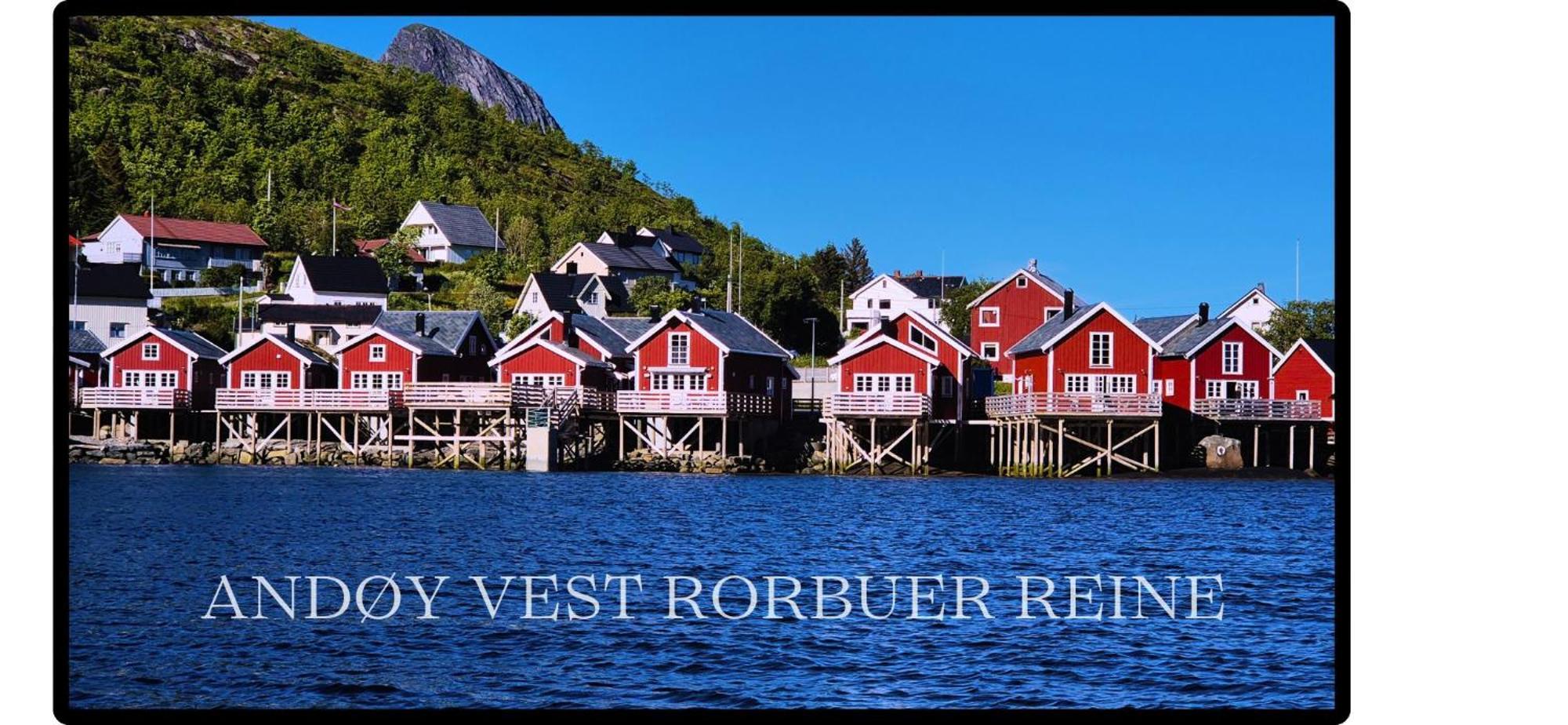 Villa Andoy Vest Rorbuer Reine Exterior foto